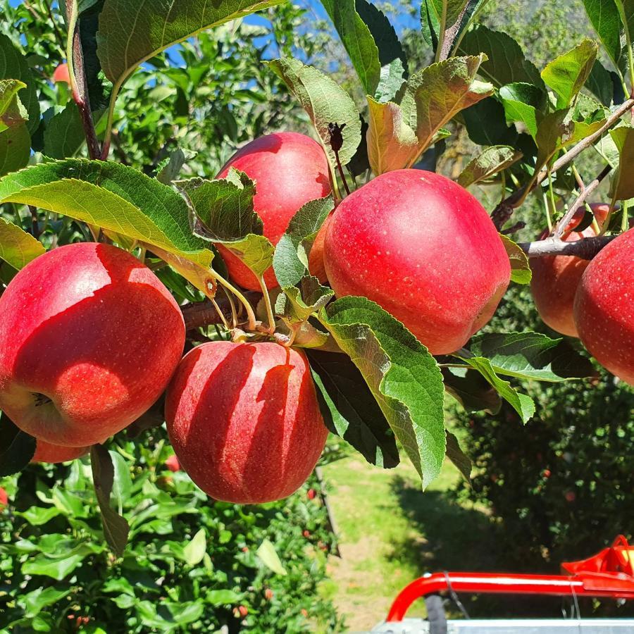 Mareinhof Vetzan-Apples,Apartment&More Silandro Eksteriør bilde